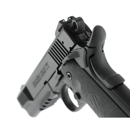 HAMMERLI FORGE H1  22LR 12 CPS 5 POUCES