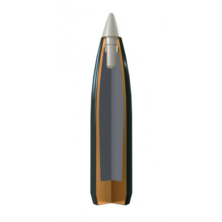 WINCHESTER 30-06 BALLISTIC SILVERTIP 168gr X20