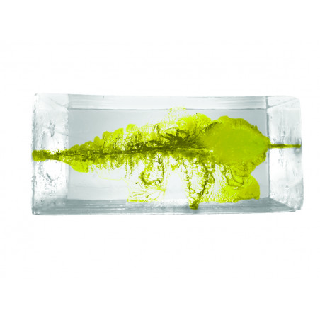 RWS 308 WIN EVO 184 GRAINS POWER BONDED X20