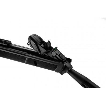 CARABINE 10 COUPS ROADSTER GAMO