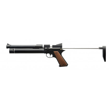 PISTOLET PP750 PCP C4.5