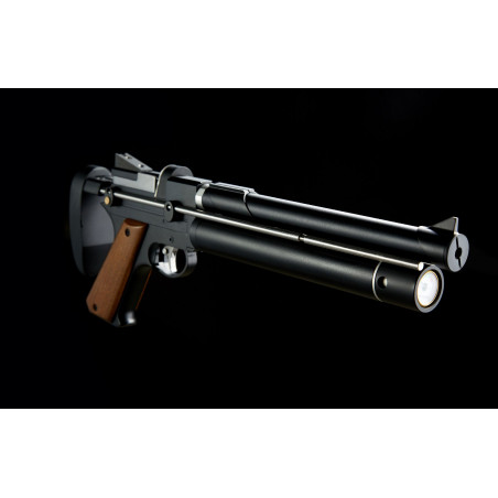 PISTOLET PP750 PCP C4.5