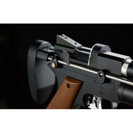 PISTOLET PP750 PCP C4.5