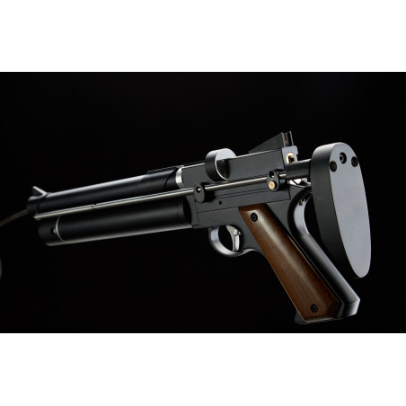 PISTOLET PP750 PCP C4.5