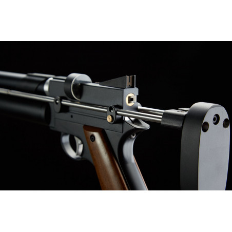 PISTOLET PP750 PCP C4.5