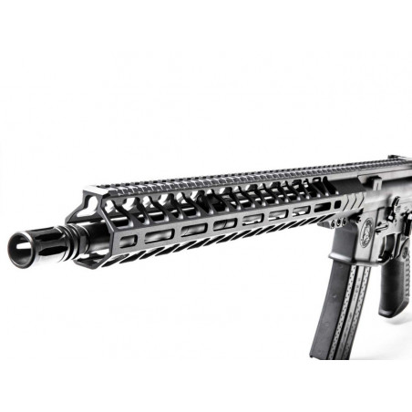 BATTLE ARMS WORKHORSE PATROL 223 REM 16 POUCES