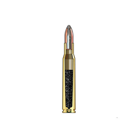 WINCHESTER 222REM POWER POINT 50GR X20